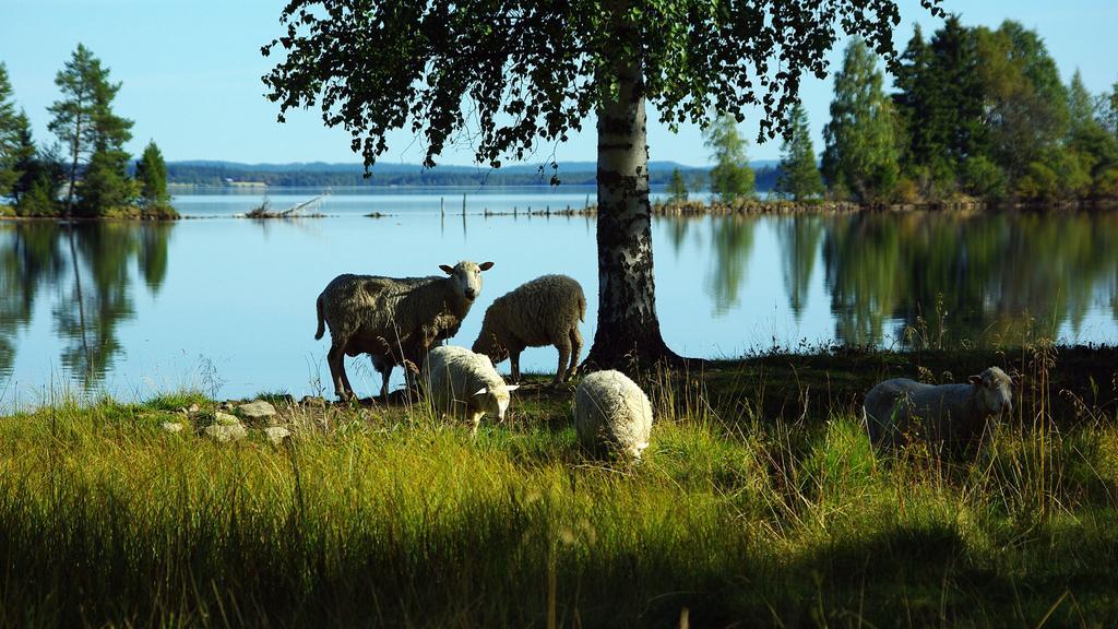 Lits Camping, Stugby Och Kanot Экстерьер фото